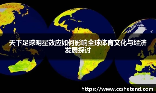 天下足球明星效应如何影响全球体育文化与经济发展探讨
